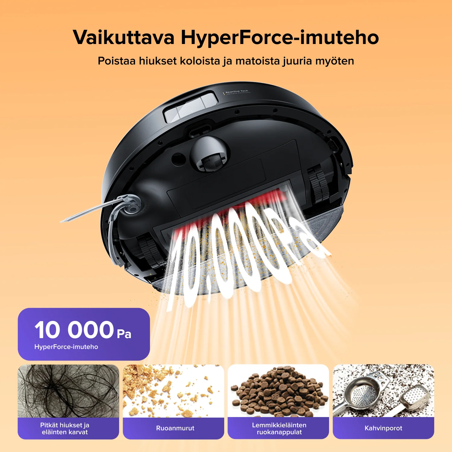 Pikkukuva 2