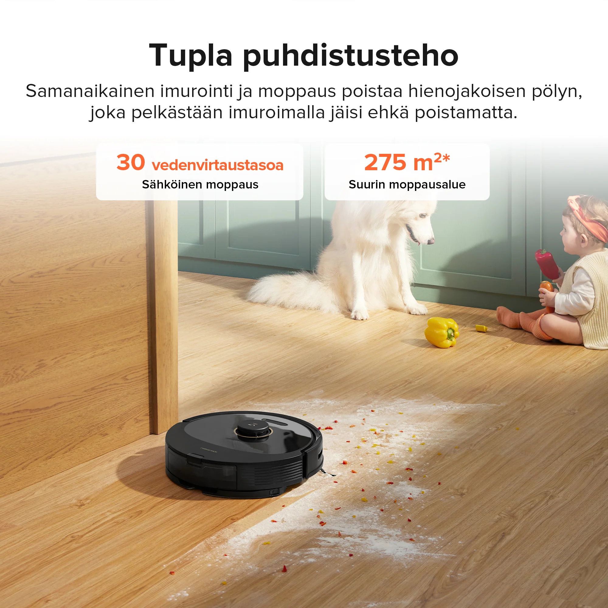 Pikkukuva 2
