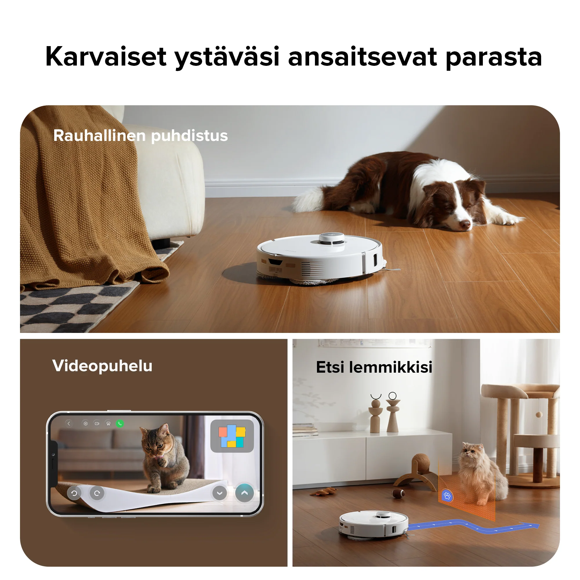 Pikkukuva 10